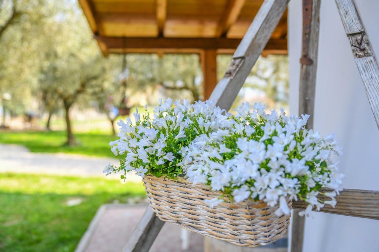 Agritur Fiore d'Ulivo Riva del Garda Exterior foto