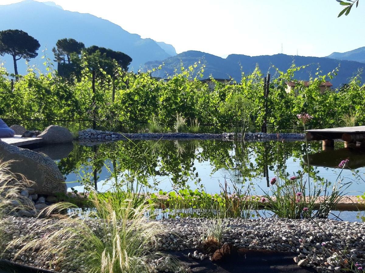 Villa Agritur Fiore d'Ulivo Riva del Garda Exterior foto