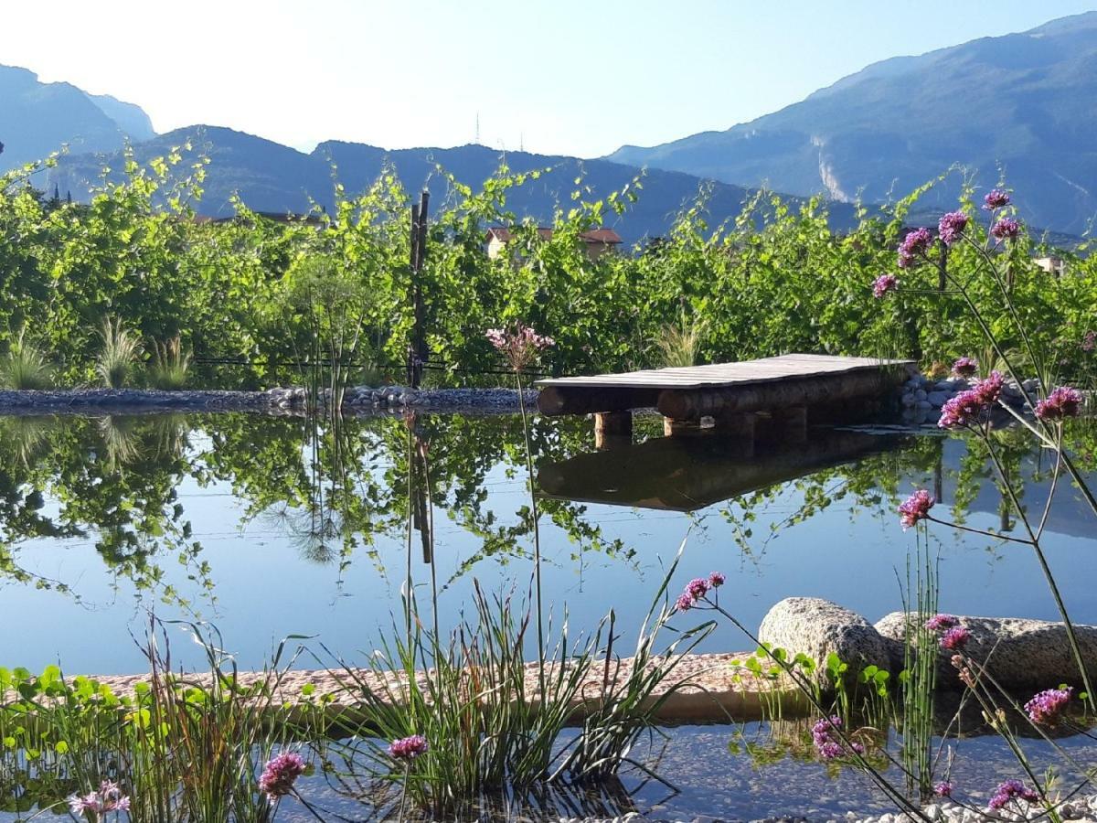 Agritur Fiore d'Ulivo Riva del Garda Exterior foto
