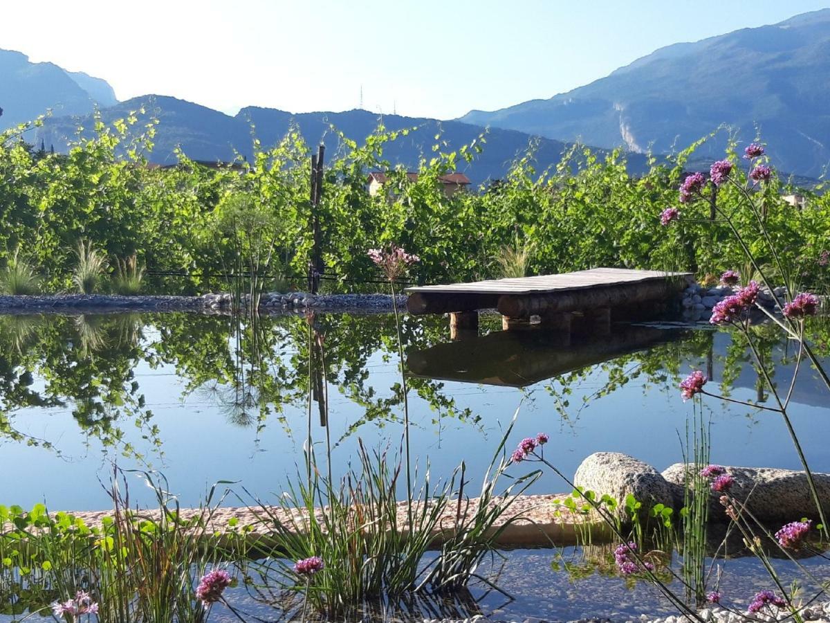 Villa Agritur Fiore d'Ulivo Riva del Garda Exterior foto